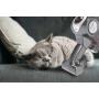 HOOVER - Aspirador RA22SE 011