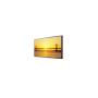 SAMSUNG - Monitor 460UXN-3 LH46GWTLBC/EN