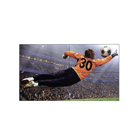 LG - Monitor VideoWall 49VL5G-M