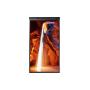SAMSUNG - Monitor Outdoor OM55N-S LH55OMNDSGBXEN