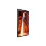 SAMSUNG - Monitor Outdoor OM55N-S LH55OMNDSGBXEN