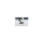 NILFISK - Aspirador BUDDY II 12L EU 18451119