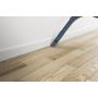 HOOVER - Aspirador BR31PET 011