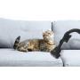 HOOVER - Aspirador HE720PET 011