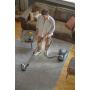 HOOVER - Aspirador HE520PET 011