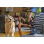 HOOVER - Aspirador HE520PET 011