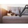 HOOVER - Aspirador HE530ALG 011