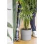 HOOVER - Aspirador Vertical HFX10P 011