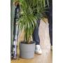 HOOVER - Aspirador Vertical HFX10H 011