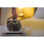 HOOVER - Mini Aspirador de Colchões HMC510UV 011