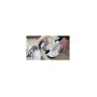DREMEL - Esponjas 6,35cm 2615P362JA