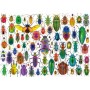 EDUCA - Puzzle 500 Escarabajos 20252