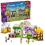 LEGO Café das Plantas e Loja de Flores 42671