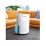 CECOTEC - Desumidificador BigDry 9000 Professional 5654