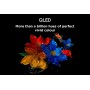 TCL - QLED Smart TV 43P7K