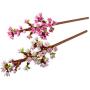 LEGO 40725 Flores de Cerejeira